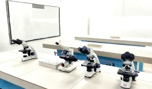 Laboratorio de Química